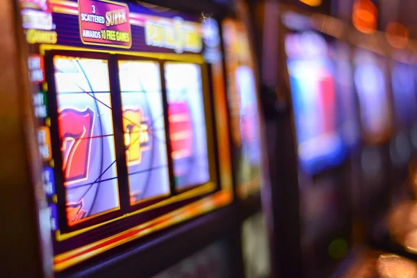 suncity account dashboard showing wagering history